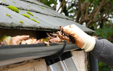 gutter cleaning Wishaw